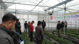 제주형 녹색체험 관광상품 출시 관심