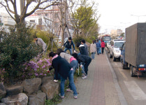 삼도1동, 서사라거리문화축제 주변 정화