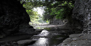창고천 문화와 생태가 살아 있는 고향의 강 본격 추진