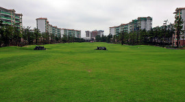 라온프라이빗 골프장, 국내 처음으로 씨소어 파스팔름 잔디 조성