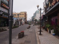 불법주차 사라지는 명동로...단속 강화 효과 톡톡
