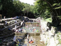 가자 자연휴양림으로...