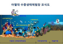 서귀포시 바다 속 올레길 조성 추진 눈길