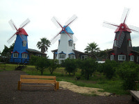 풍차가 있는 이국적인 풍경