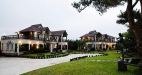 삼나무 숲에 둘러싸여 힐링 펜션으로 인기