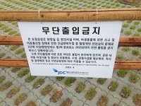 제주 곶자왈도립공원 부실 논란