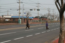 과속과 무단횡단이 사고 키운다