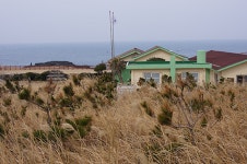 마라도 해풍에 시설물은 물론 소나무까지 속수무책