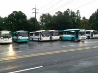 제주대 버스 회차지의 숨겨진 진실