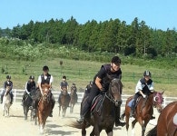 말 육성.조련 인재 육성의 산실로 거듭난다