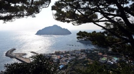 보목동 마을 일대와 섶섬이 한눈에