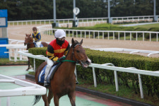 한라마 1610m 경주 신기록 1분53초5