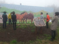 말의 고장 의귀리에 옷귀馬테마타운 개장