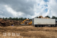 쉼 없이 재선충 감염목 파쇄 작업 한창/제주시 한림읍