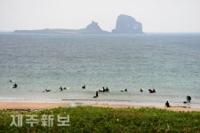 서퍼로 가는 첫걸음/서귀포시 안덕면