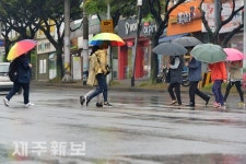 비오는 제주시 법원 사거리/제주시 이도2동