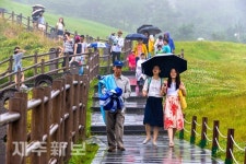 비오는 성산일출봉 등반하는 관관객들/서귀포시 성산읍