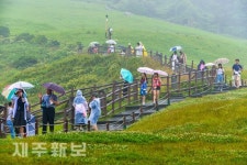 비오는 성산일출봉 등반하는 관관객들/서귀포시 성산읍