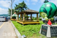 수박 직거래 장터 개장/제주시 애월읍