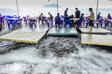 차가운 계곡물에 발 담그고/서귀포시 서홍동