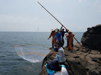 제3회 영락리 덕자리돔 축제 성황