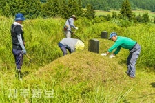 폭염속 추석벌초 시작/제주시 어승생공설묘지