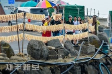 말린 오징어 드세요./제주시 한경면