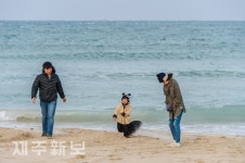 어느덧 찾자 온 겨울바다/제주시 월정리해변