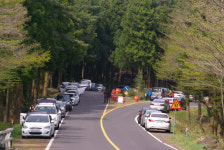사려니숲길에 168대 수용하는 주차장 조성