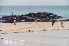 겨울비 내리는 김녕성세기해변/제주시 구좌읍