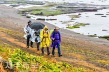 비 맞으며 걷는 올레길/서귀포시 성산읍