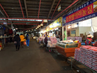민속오일시장 웃음대신 한숨만
