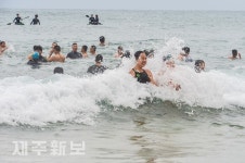 새해 소망과 건강 기원 제주 펭귄수영대회 개최/서귀포시 중문색달해변
