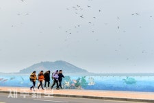 흐린날 걷는 올레길/제주시 한림읍