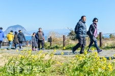 포근한 제주 겨울 산책길/서귀포시 대정읍