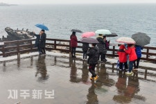 봄비 내리는 용두암/제주시 용두암