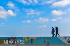 파란 하늘을 배경으로/제주시 함덕해변