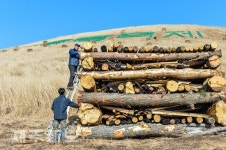 들불축제 준비 한창/제주시 새별오름