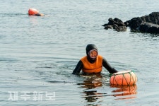 물질하는 해녀들/제주시 구좌읍
