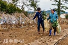 식목일 맞아 묘목 구매/제주시 오라2동
