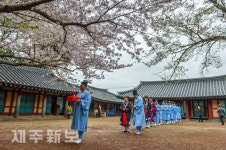 삼성혈 도민 안녕을 기원하는 춘기대제 봉행/제주시 삼성혈