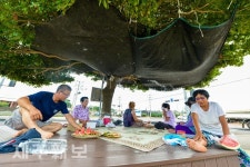 시원한 나무 그늘 아래서