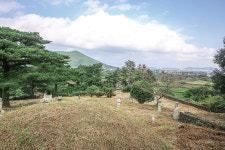 (51)나만 어찌 부귀영화를 누리랴 세종도 꺾지 못한 푸른 절개