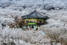 첫눈에 1100도로 상고대 활짝