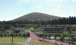 붉은오름자연휴양림 인기몰이