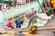 만선을 기원하며