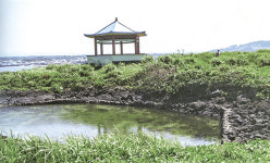 (2)다려도-풀빛 풍광에 담긴 물개 닮은 섬