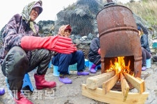 꽃샘추위에 언 몸 녹이는 해녀들