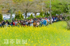 한마음 치매극복 걷기 대회 개최