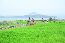 (39)암탉이 울어야 새벽이 오고, 개명사회가 열린다